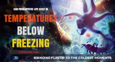 Can Prokaryotic Life Thrive in Subzero Temperatures? Exploring Extremophiles