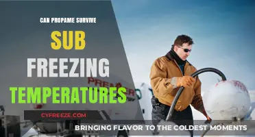 Can Propane Survive Sub-Freezing Temperatures? Essential Winter Safety Tips