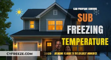 Propane's Cold Resilience: Surviving and Thriving in Sub-Freezing Temperatures