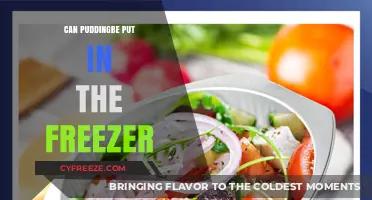 Chill or Not: The Great Pudding Freezer Debate