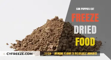 Exploring Freeze-Dried Food Options for Your Puppy's Diet