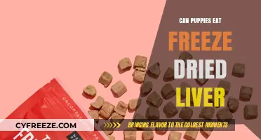 Can Puppies Eat Freeze-Dried Liver? A Complete Guide for Pet Owners