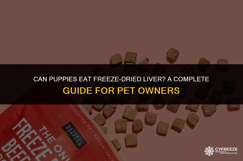 can puppies eat freeze dried liver