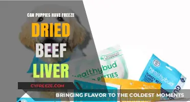 Can Puppies Safely Enjoy Freeze-Dried Beef Liver Treats?