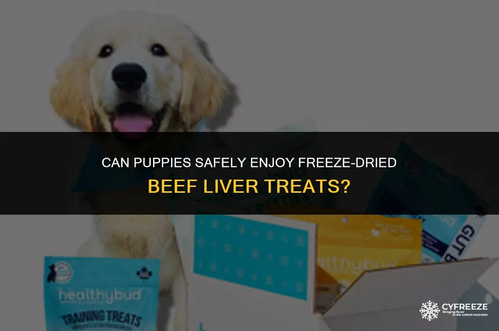 can puppies have freeze dried beef liver