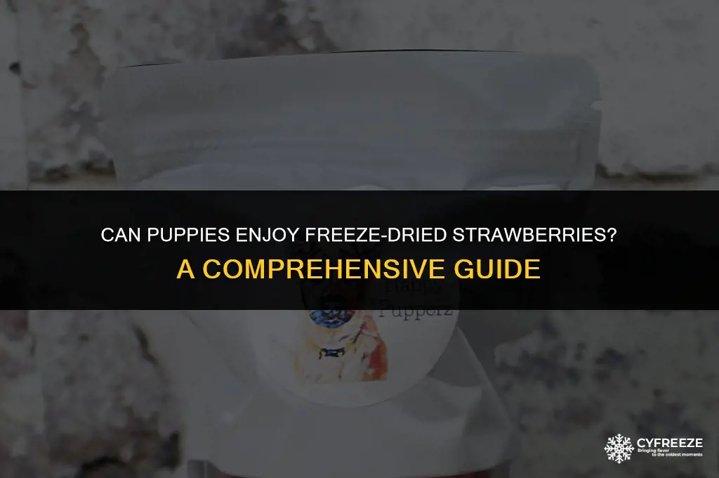 can puppies have freeze dried strawberries