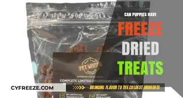 Can Puppies Enjoy Freeze-Dried Treats? A Complete Guide for Pet Owners