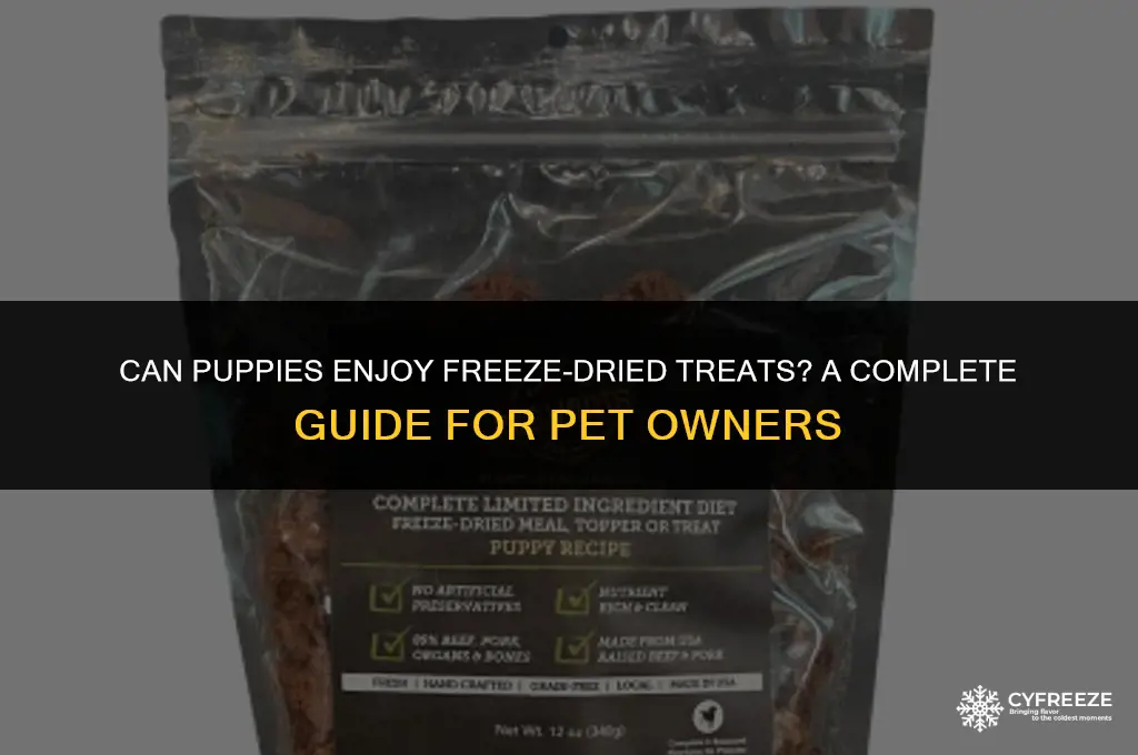 can puppies have freeze dried treats