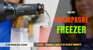 Chill Your Champagne: A Guide to Perfectly Frosty Bubbles