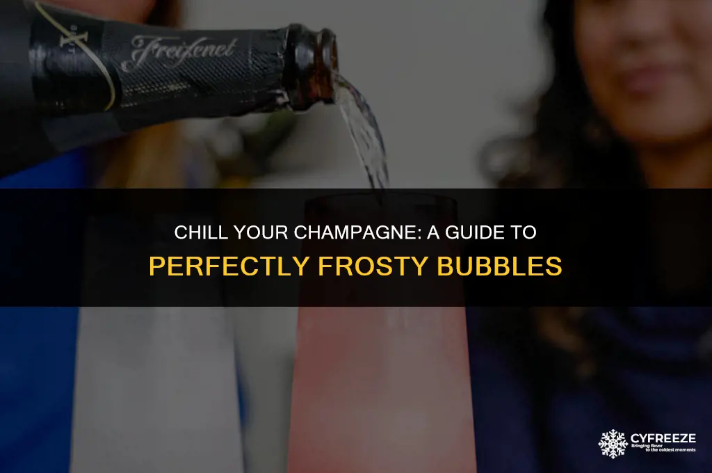 can put champagne freezer