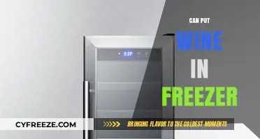 Chill or Not to Chill: The Wine Freezer Dilemma Explained