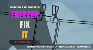 Can Freezing a Wet Phone Really Fix It? Let's Find Out!