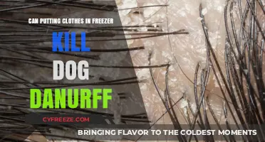 Chilling Solution: Can Freezing Clothes Eliminate Dog Dandruff?