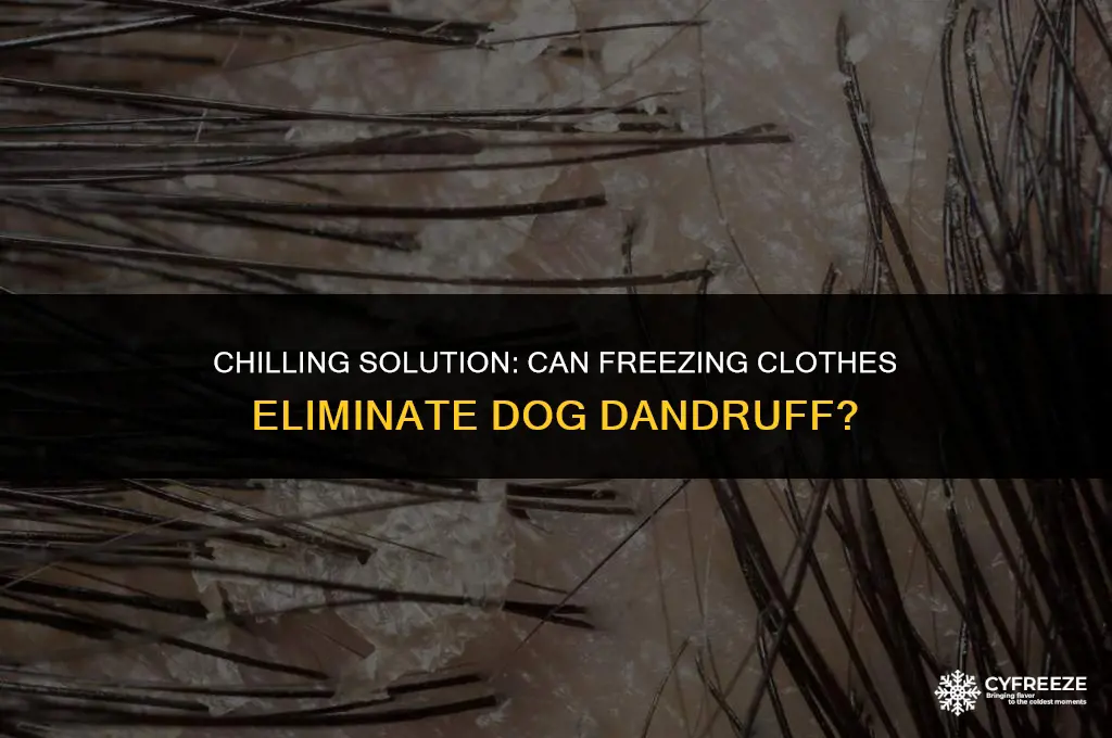 can putting clothes in freezer kill dog danurff