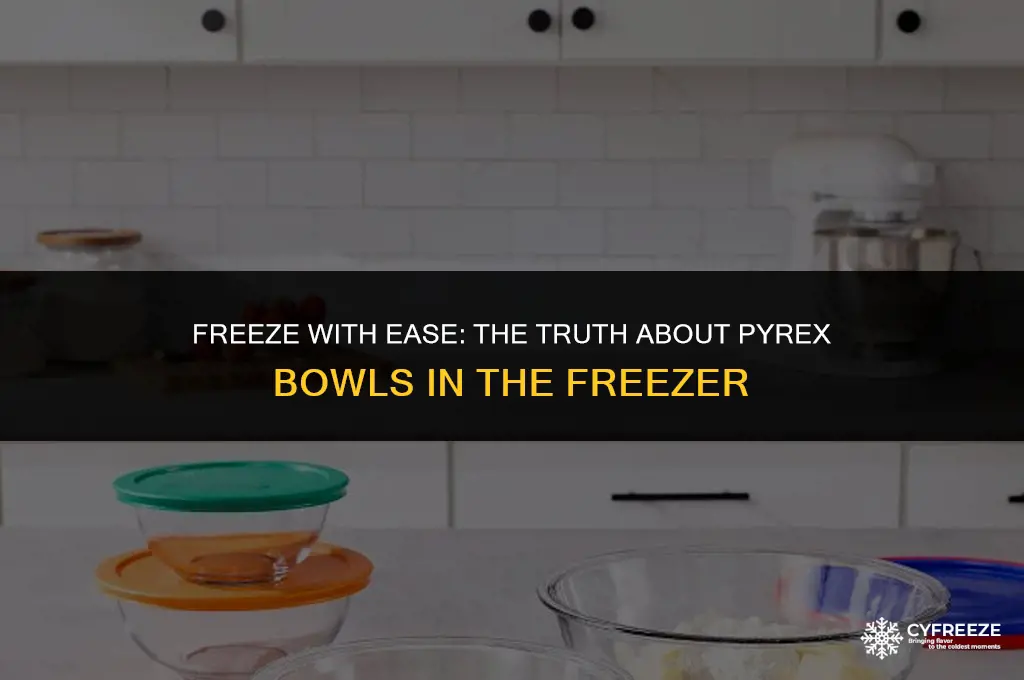 can pyrex bowls be put in freezer