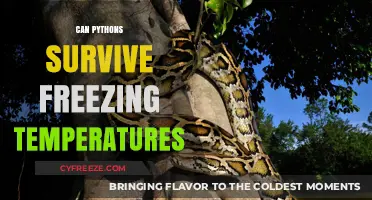 Can Pythons Survive Freezing Temperatures? Unveiling Their Cold Tolerance