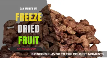 Fruity Freeze-Dried Delights: A Nutritious Treat for Rabbits?
