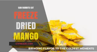 Exploring the Nutritional Benefits of Freeze-Dried Mango for Rabbits