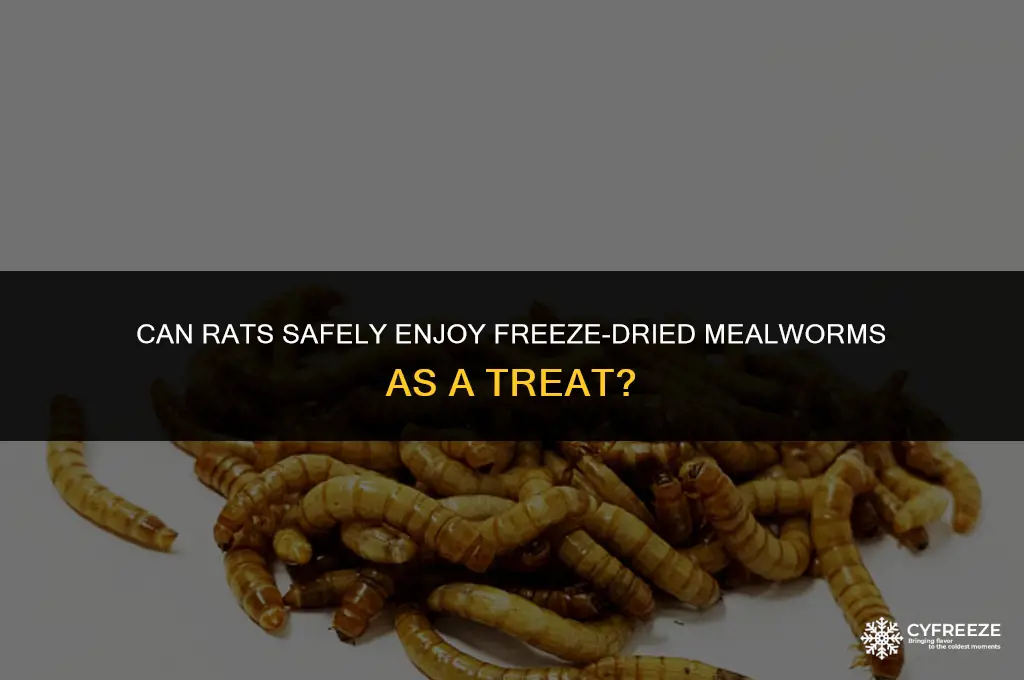 can rats eat freeze dried mealworms