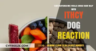 Relief for Itchy Dogs: The Benefits of Rehydrating Freeze-Dried Raw
