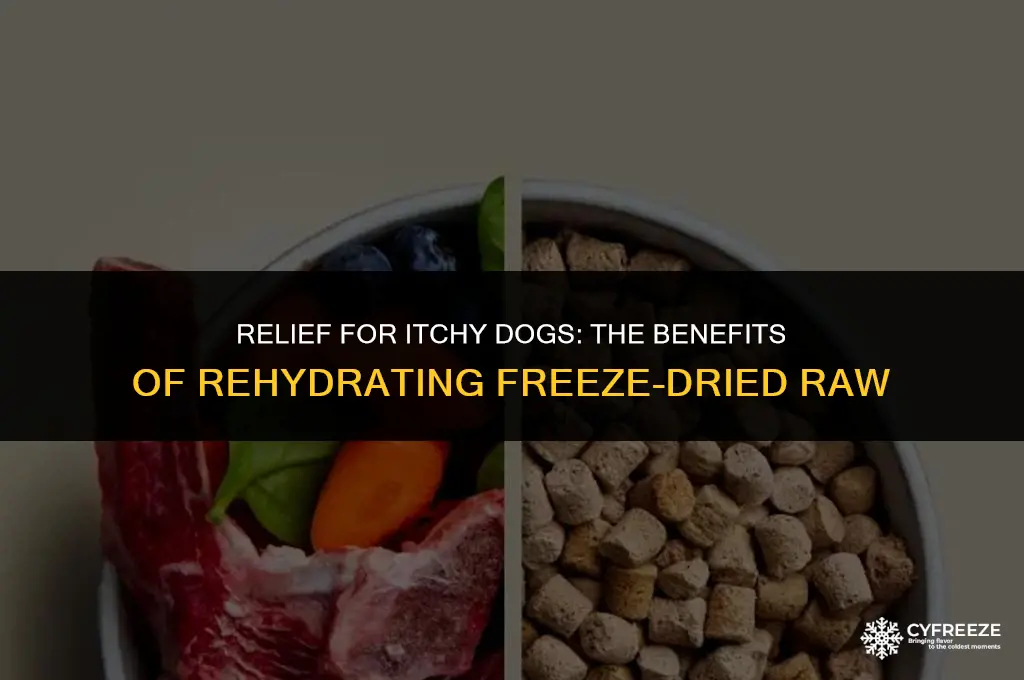can rehydrating freeze dried raw help with ithcy dog reaction