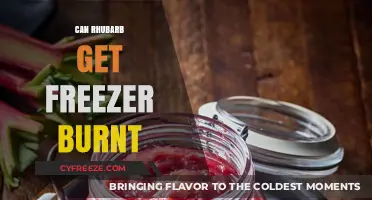 Preventing Freezer Burn: Storing Rhubarb Safely for Long-Lasting Freshness