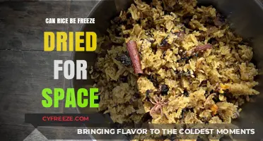 Preserving Rice for Space: The Freeze-Drying Solution