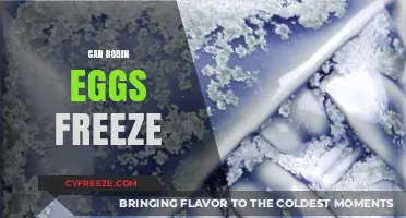 Can Robin Eggs Survive Freezing Temperatures? Facts and Insights