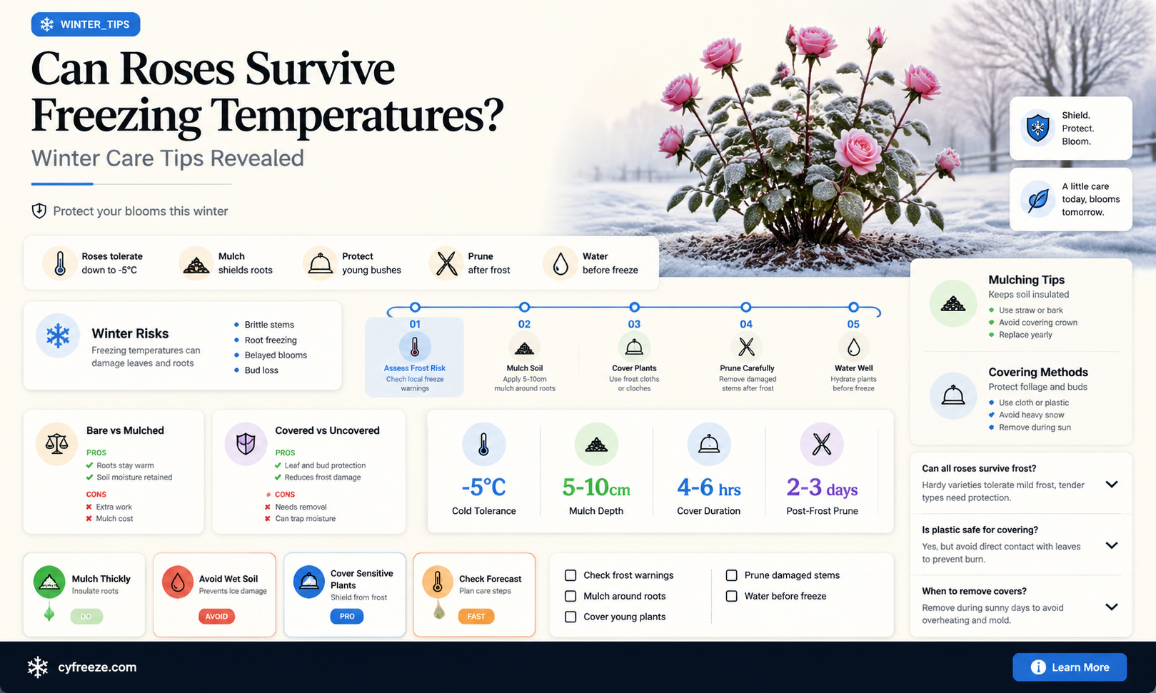 can roses survive freezing temperatures