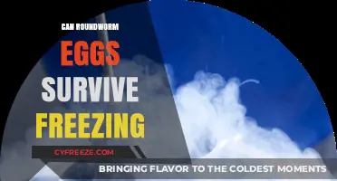 Can Roundworm Eggs Survive Freezing? Uncovering the Truth About Their Resilience