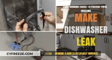 Preventing Pipe Freezes: The Unintended Consequences for Your Dishwasher
