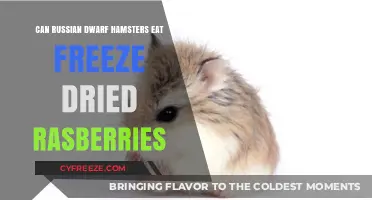 Tiny Treats: Freeze-Dried Raspberries for Russian Dwarf Hamsters?