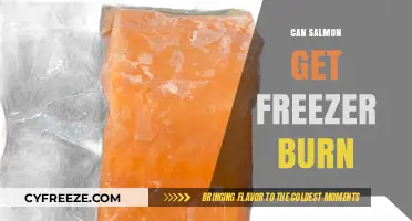 Can Salmon Get Freezer Burn? Prevention Tips and Storage Guide