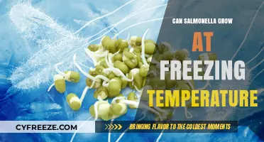 Can Salmonella Survive and Grow in Frozen Foods?