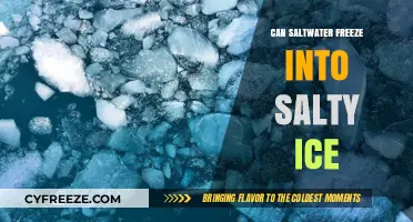 Chilling Facts: Can Saltwater Really Freeze into Salty Ice?