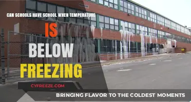 Freezing Temps and School Days: Should Classes Continue Below Zero?