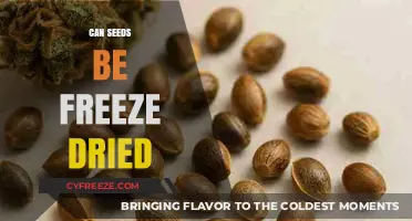 Exploring the Benefits of Freeze-Drying Seeds for Long-Term Storage