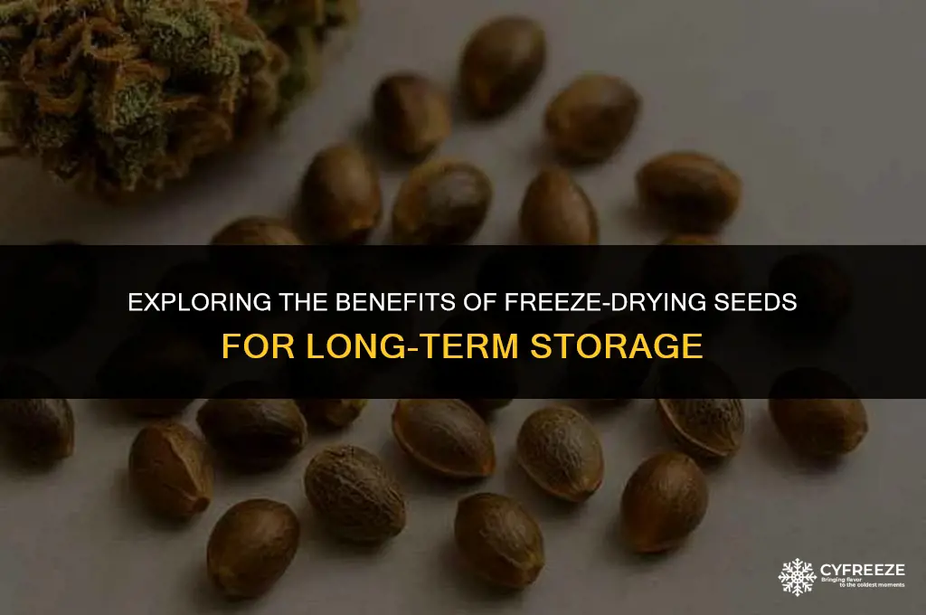 can seeds be freeze dried