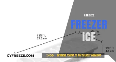 Optimal Ice Storage: Can You Freeze Ice Cubes in Any Size?
