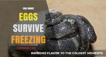 Can Snake Eggs Survive Freezing Temperatures? Shocking Facts Revealed