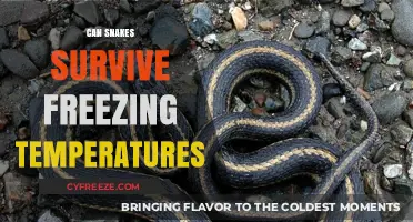 Can Snakes Survive Freezing Temperatures? Unveiling Their Winter Survival Secrets