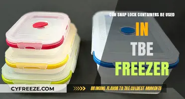 Freezing with Snap Lock Containers: Safe and Effective Storage Tips