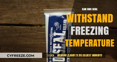 Sno Seal in Freezing Temps: Does It Hold Up?