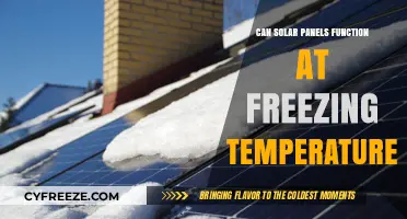 Solar Panels in Winter: Do They Work in Freezing Temperatures?