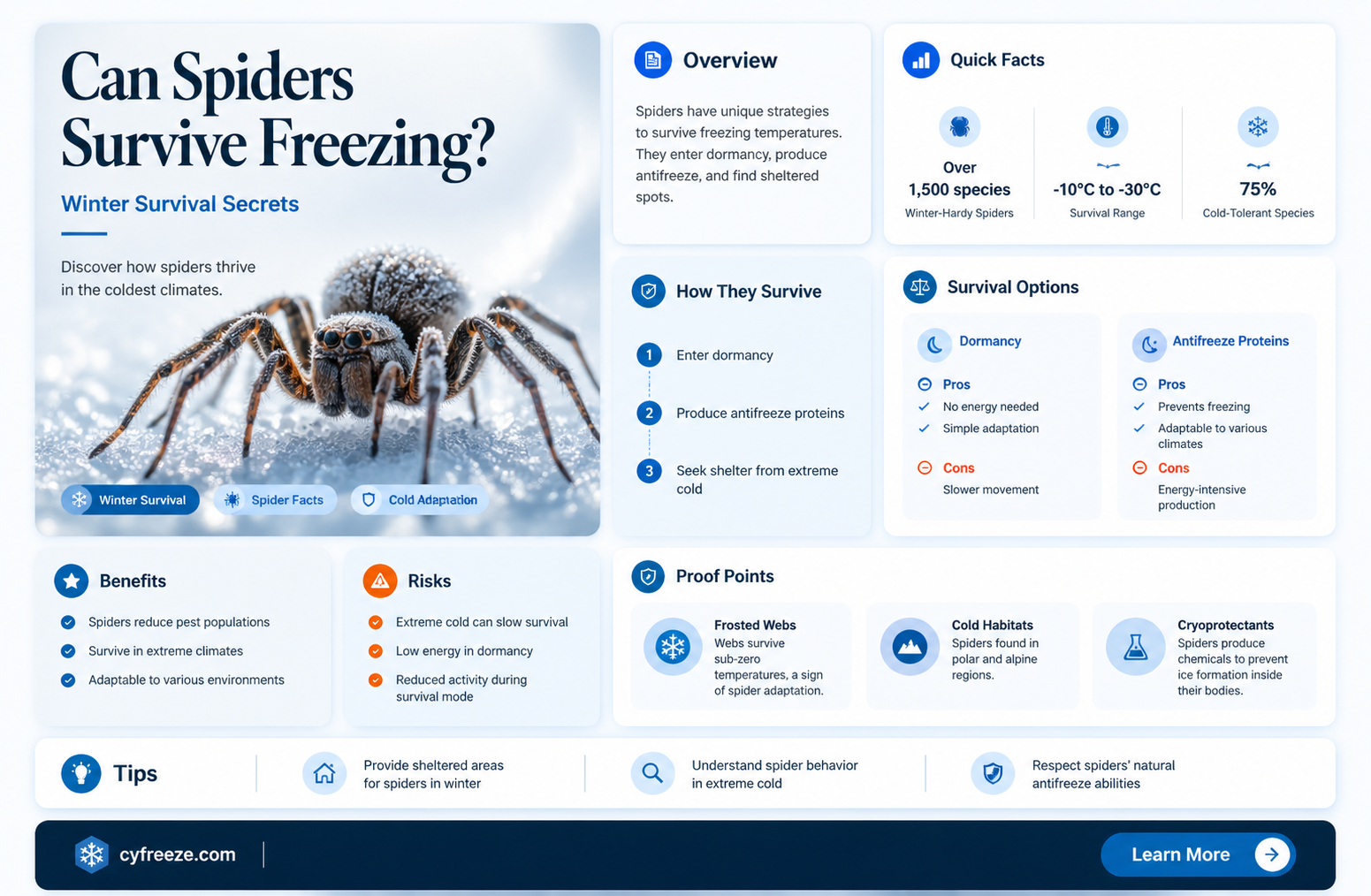 can spiders survive freezing temperatures