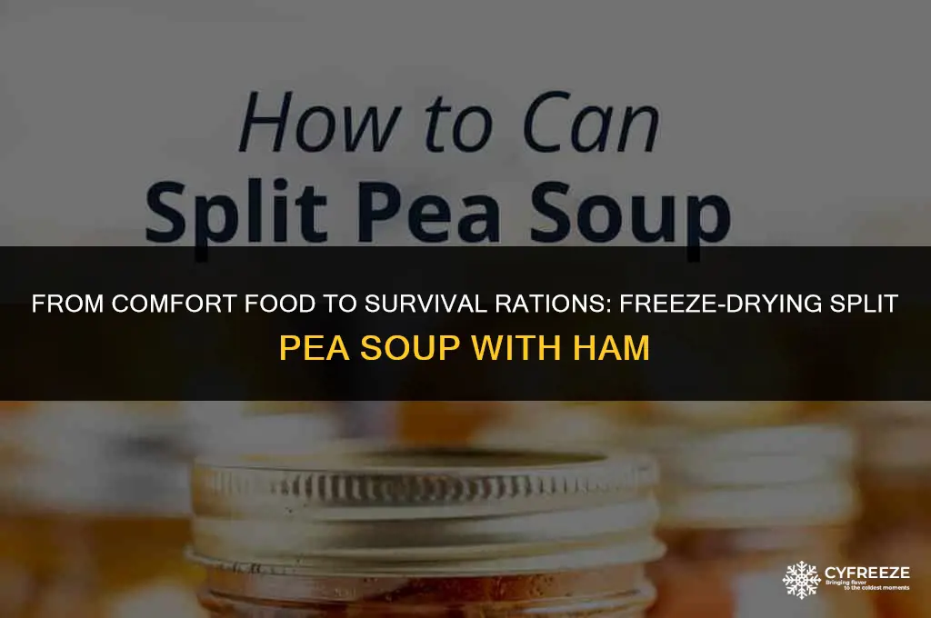 can split pea soup with ham be freeze-dried