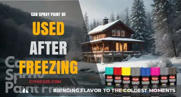 Reviving Frozen Spray Paint: Can It Still Work After Freezing?