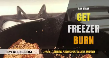 Can Steak Get Freezer Burn? Prevention Tips and Storage Guide