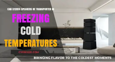Transporting Stereo Speakers in Freezing Temperatures: Risks and Tips