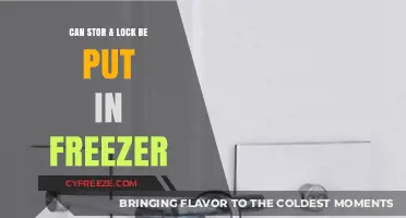 Can You Freeze Stor & Lock Containers? A Complete Guide